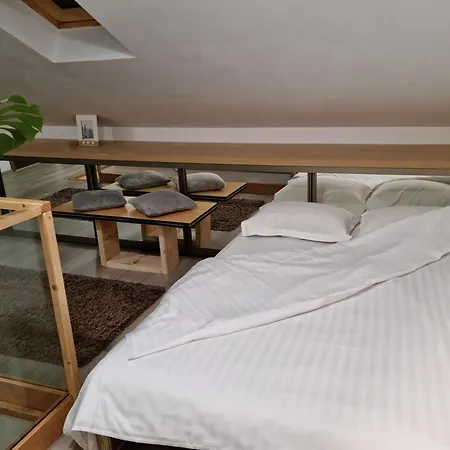 Downtown Premium Villa Brasov