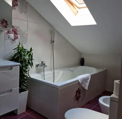 Downtown Premium Brasov